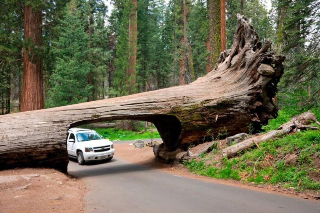 Sequoia Cabin By The River Three Rivers Buitenkant foto