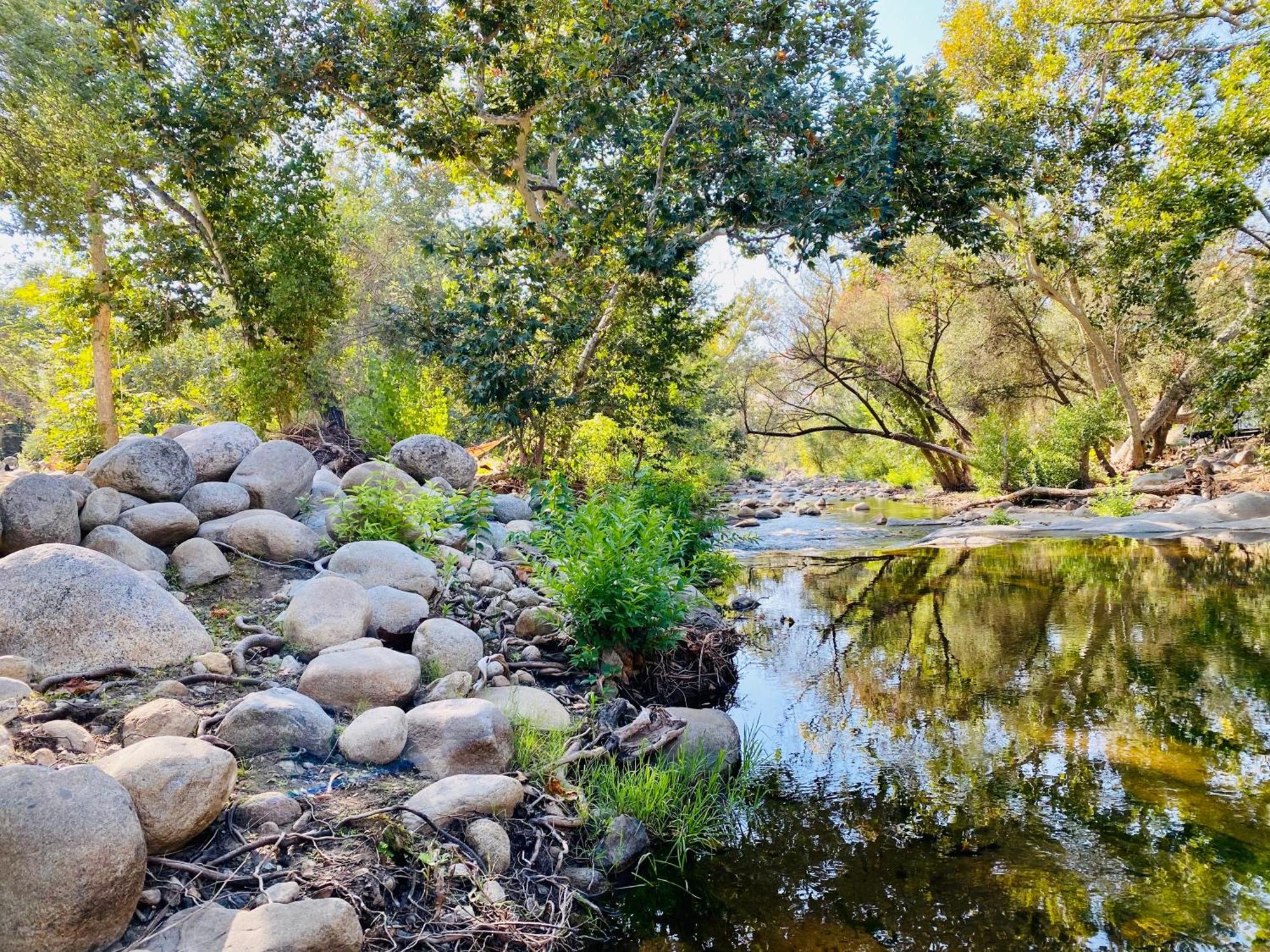 Sequoia Cabin By The River Three Rivers Buitenkant foto