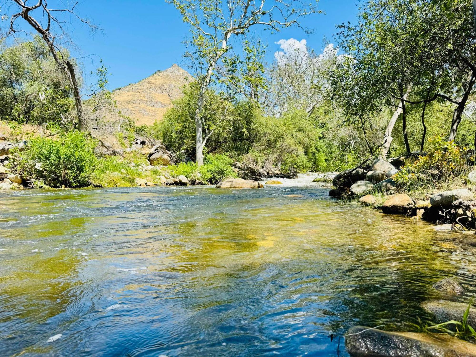 Sequoia Cabin By The River Three Rivers Buitenkant foto